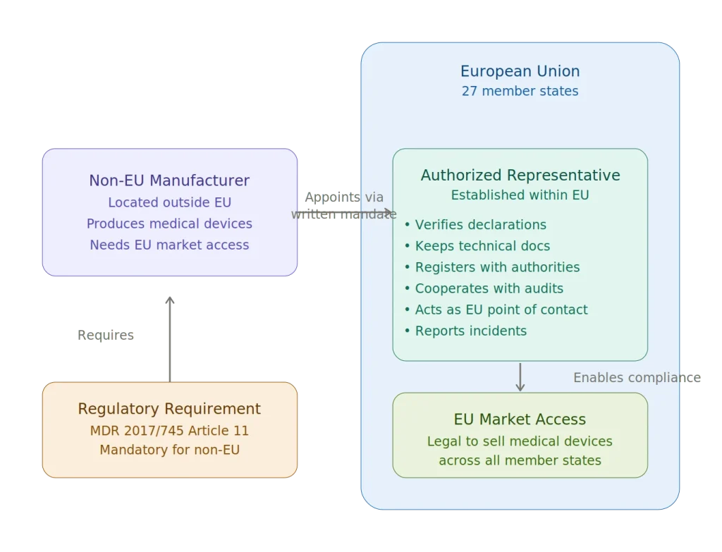 european authorized representative