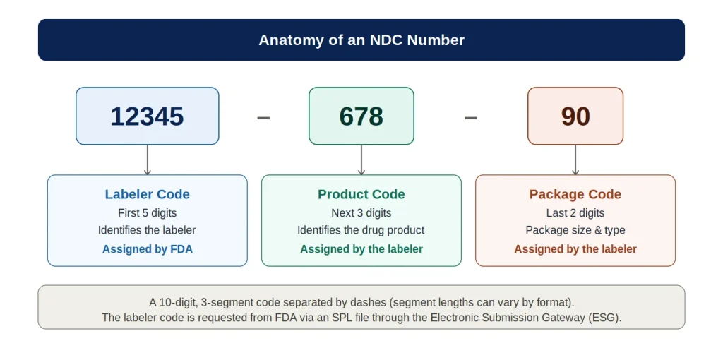 ndc number anatomy
